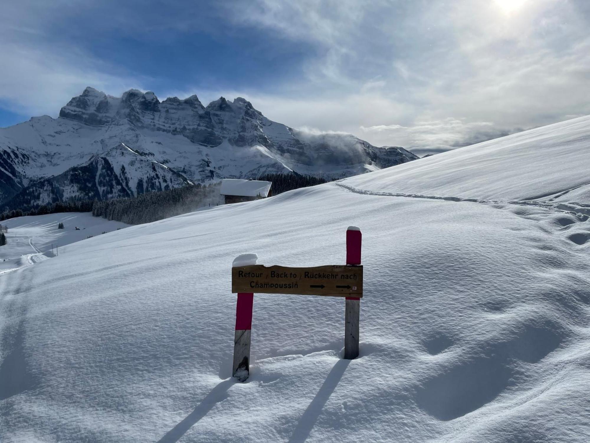 Chalet Montriond - Bike & Ski Les Crosets Exterior photo